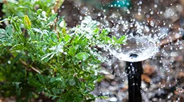 Jardim com paisagismo e irriga&ccedil;&atilde;o autom&aacute;tica